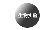(sh)(yn)02
